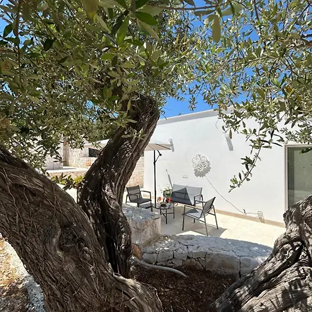 Appartement Trullo Alisia - Trulloexperience