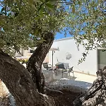 Apartman Trullo Alisia - Trulloexperience