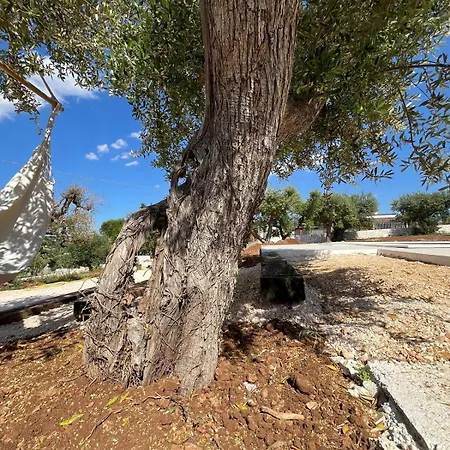 Trullo Alisia - Trulloexperience