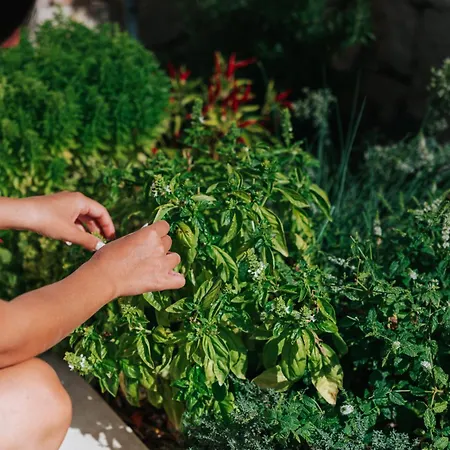 Trullo Alisia - Trulloexperience 普蒂尼亚诺