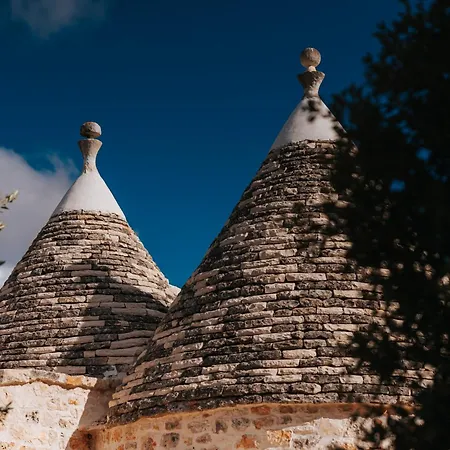 公寓 Trullo Alisia - Trulloexperience 普蒂尼亚诺