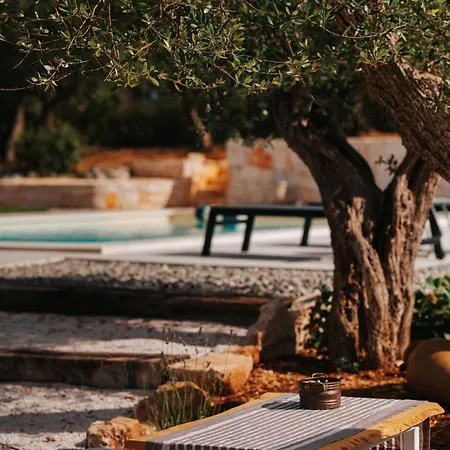 Trullo Alisia - Trulloexperience 公寓