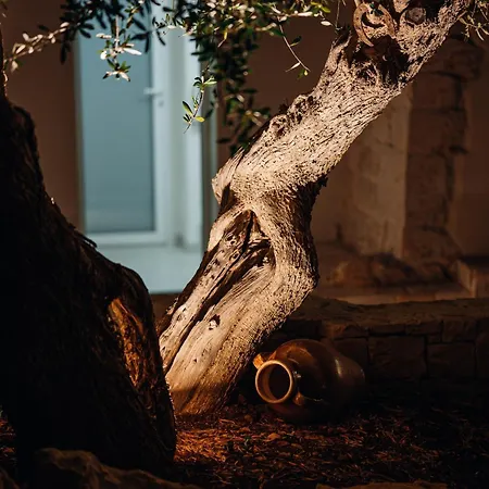 公寓 Trullo Alisia - Trulloexperience 普蒂尼亚诺