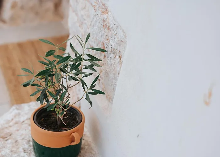 Trullo Alisia - Trulloexperience פוטיניאנו